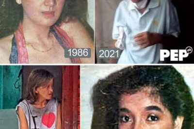 From Spotlight to Sidewalk: The Heartbreaking Fall of Former Star Brandy Ayala