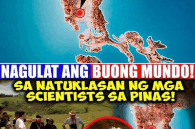 CENSORED DISCOVERY? Mysterious Relic Found in Philippine Cave Sparks Global Panic — Scientists Silenced After “Non-Human Origin” Theory Leaks