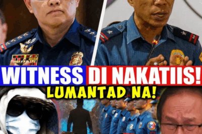 Kung ayaw mong malaman ng iba ang tungkol sa isang bagay, mas mabuting huwag mo na itong gawin. Kung gagawin mo ito, kahit paano mo itago, malalantad din ito sa huli. Ang saksi na kinatatakutan ng mga pulis ay biglang sumulpot—nagdala ng mga ebidensyang magpapatunay sa kanila. Isang opisyal ang biglang sinibak, 12 pulis ang kinasuhan—Natuklasan ang katotohanan at ang perpektong pagsasabwatan.