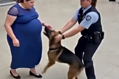 Dog Barks Repeatedly at a 7-Month Pregnant Woman: When Police Realized Why, It Was Already Too Late