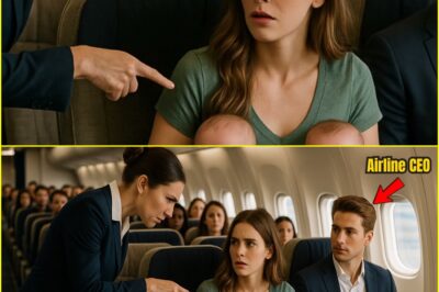 A single mother was scolded because her twin babies were crying — unaware the man beside her was