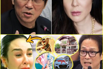 The Untold Story Behind Gretchen Barretto’s Property Sale: What Really Happened?