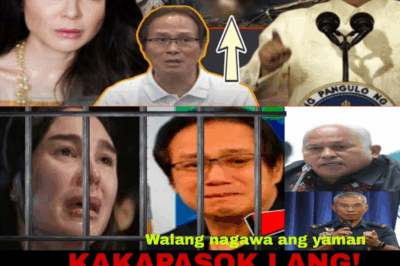 KAKAPASOK LANG! Gretchen Barretto Nilinaw sa Hukuman ang Akusasyon ni Atong Ang — Naiyak sa Hatol, Natagpuan ang Bung0 na May Ngipin Pa?