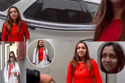 The Nurse’s Secret: Why a Respected Filipina RN Threw Away Her Career for $300 at Target