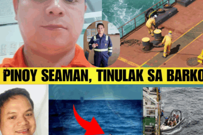 Lost at Sea: The Mysterious Disappearance of Filipino Seaman Jel Amurao and His Wife’s Agonizing Search for Truth