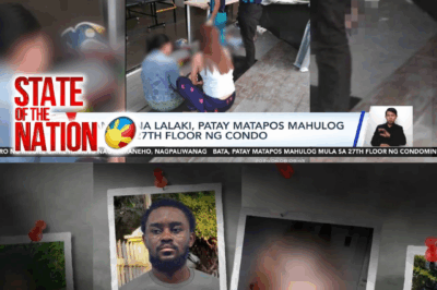 Death from the 27th Floor: The Tragic Fall of Mia and the Boyfriend Who Claims She Jumped