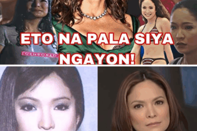 Mula Sexy Star hanggang Pamilyadong Doktora: Ang Hindi Inaasahang Pagbabalik ni Amanda Page sa Tunay na Buhay, 25 Taon Pagkatapos Mawala sa Showbiz