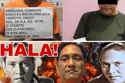 Mula Kontrabidang Hari hanggang Sa Loob ng Kulungan: Ang Hindi Inaasahang Pagbagsak ni Dindo Arroyo at ang Buhay Niyang Ngayon