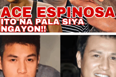Grabe! Si Ace Espinosa Ngayon: Mula Action Star Hanggang Nawalang Bayani – Ito ang Tunay na Dahilan ng Paghihiwalay Kay Maricel Morales!