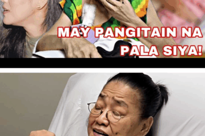 Mula sa Mga Kolum ng Kontrobersya Hanggang sa Katahimikan ng Sakit: Ang Hindi Inaasahang Wakas ni Lolit Solis at ang Tanong ng Karma sa Showbiz