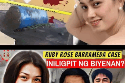 Sealed in Concrete, Denied in Court: The Gruesome Case of Ruby Rose Barrameda and Her Family’s Unending Fight for Justice