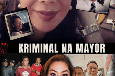 Pilot, Mayor, Victim: The Chilling Disappearance and Confessed Slaying of Gisela Boniel at Sea