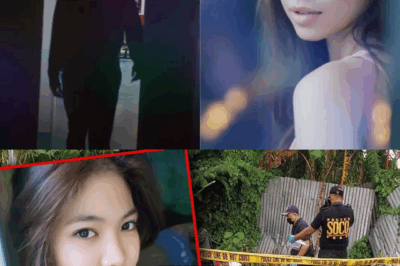 The Cold Case of the Bridge: A Family’s Two-Year Wait and the Unlikely Clue That Brought a Suspect to Light