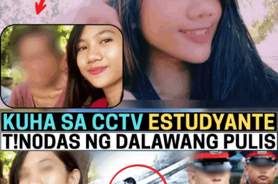 Silenced While Seeking Justice: The Tragic Story of Fabel Pineda and the System That Failed to Protect Her