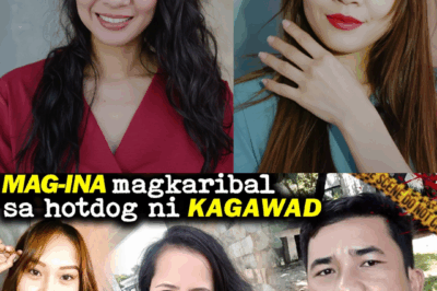 A Mother’s Unbreakable Vow: The Tragic Betrayal and Final Fight for Justice for Aen Robles