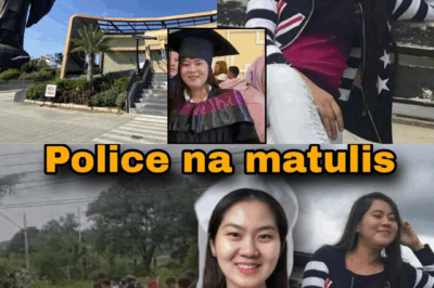 A Fatal Journey North: The CCTV Trail That Unraveled the Tragic Secret of Nurse Ferlin Rada