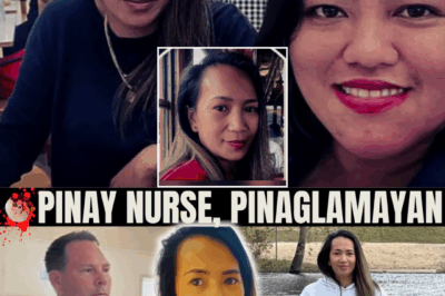 A Mother’s Final Stand: The Tragic Story of Filipina Nurse Analyn “Logee” Osias and the Obsession That Led to Her End